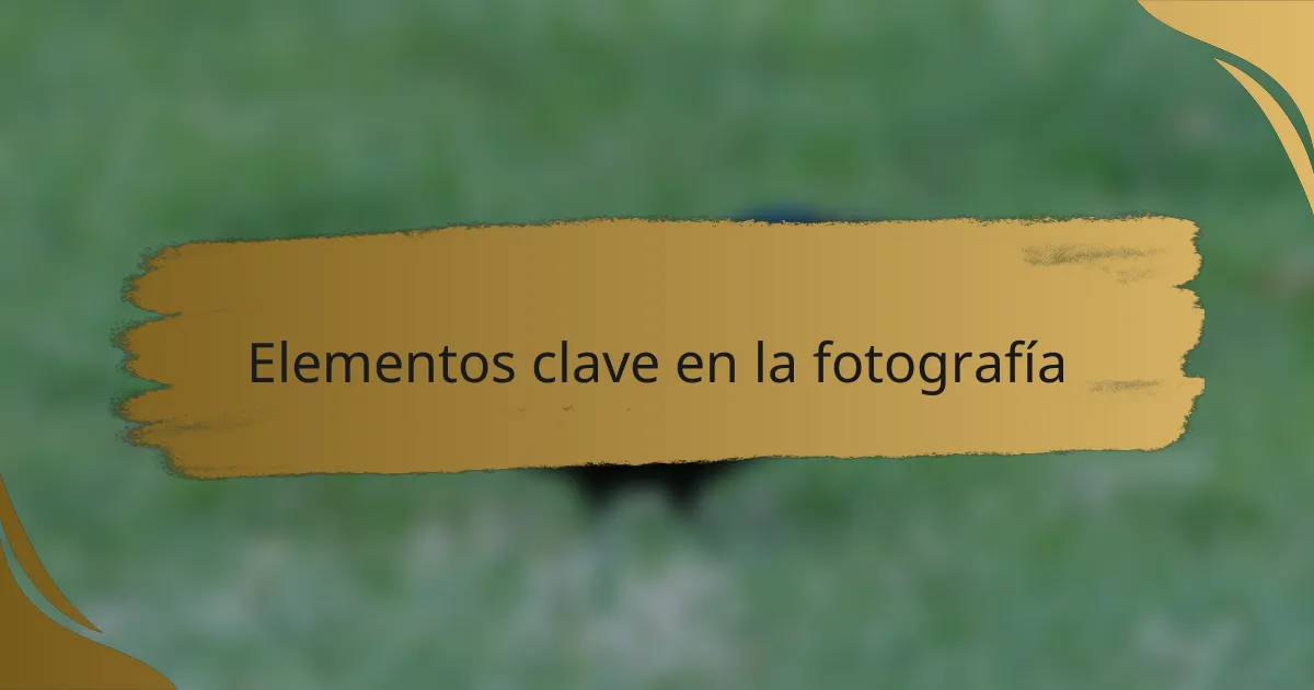 Elementos clave en la fotografía