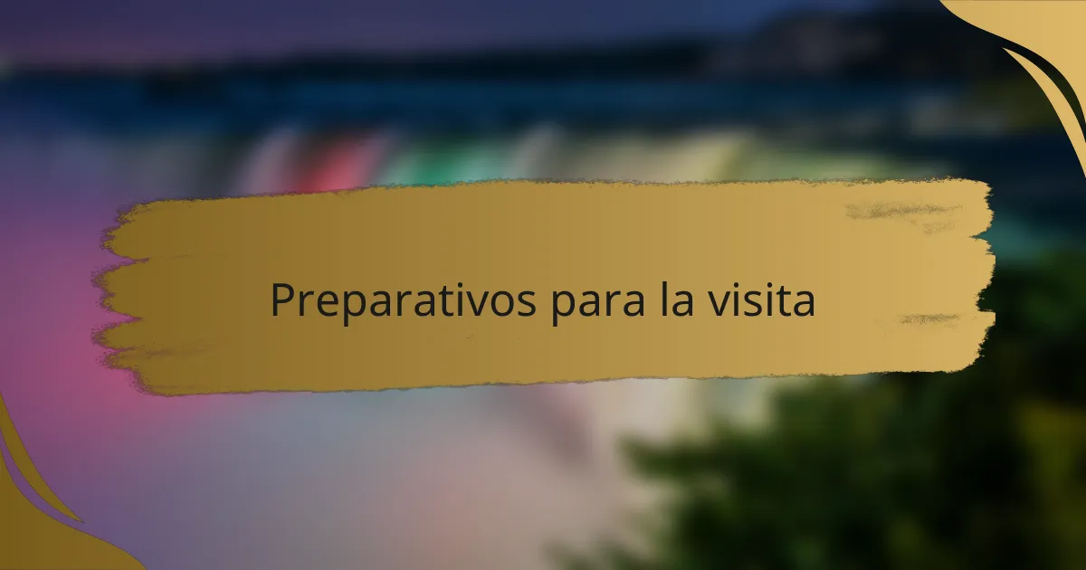 Preparativos para la visita