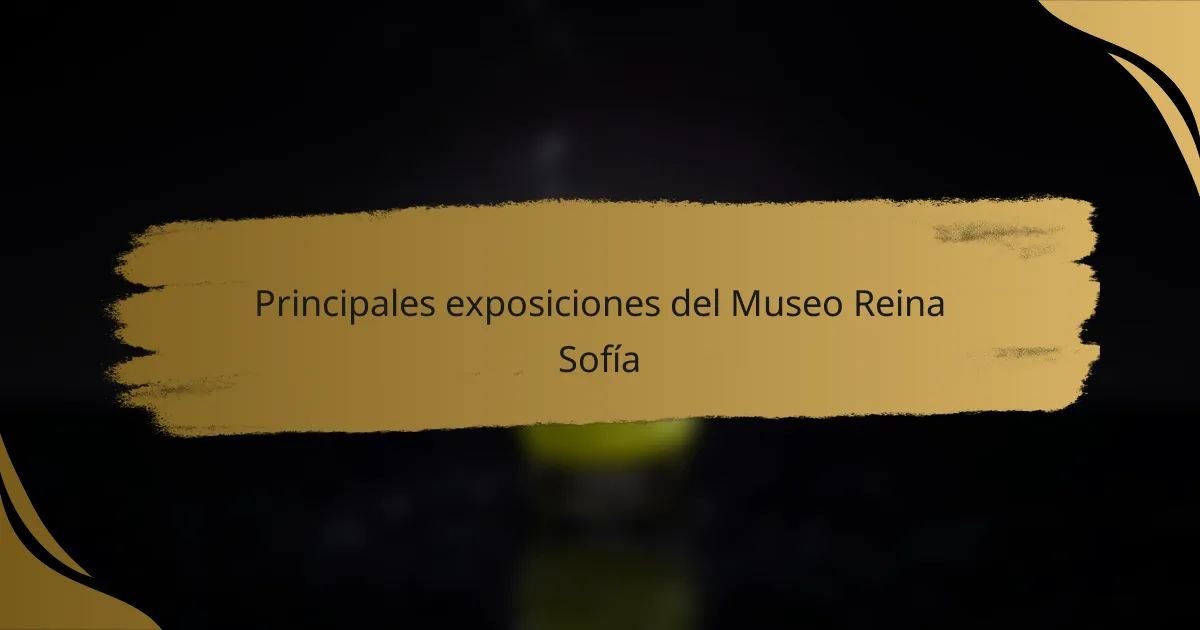 Principales exposiciones del Museo Reina Sofía